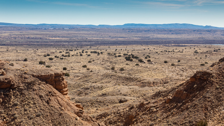 Views of the dry desert at Sevilleta National Wildlife Refuge from a ridge.