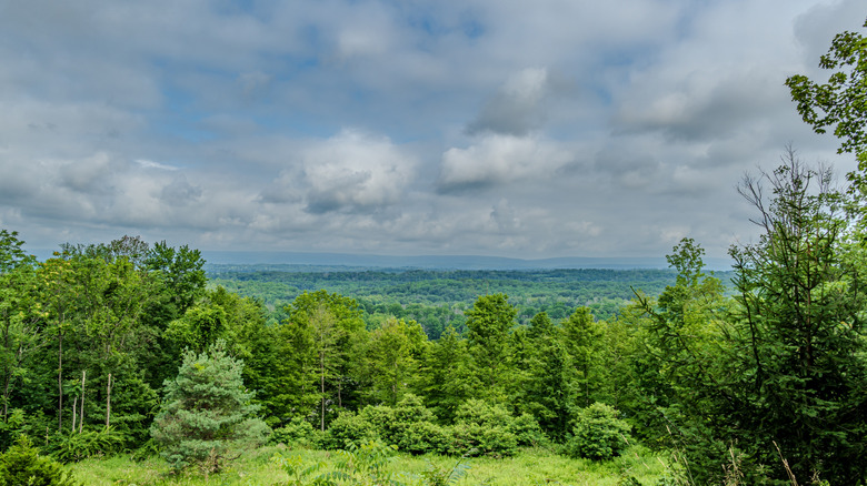 a panoramic lookout point in Jenny Jump State Forest, New Jersey