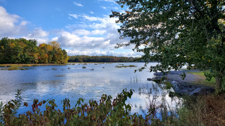 A view of the water from the edge of Minsi Lake in the Minsi Lake Wilderness Area, Upper Mount Bethel Township, Pennsylvania