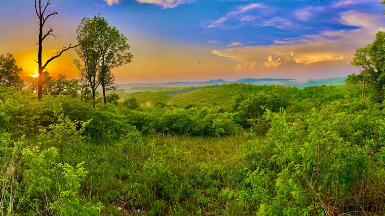 Lush green woods with mountains in the background and sunset with purple sky Glade Top Trail