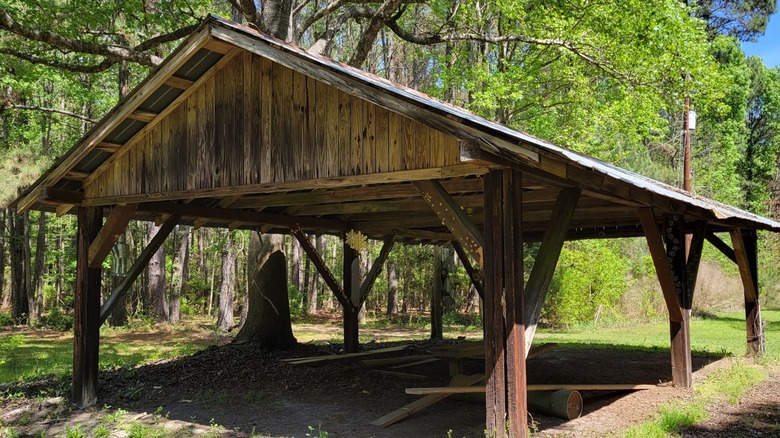 Abandoned wooden farm structure in front of a lush forest at Meggett County Park