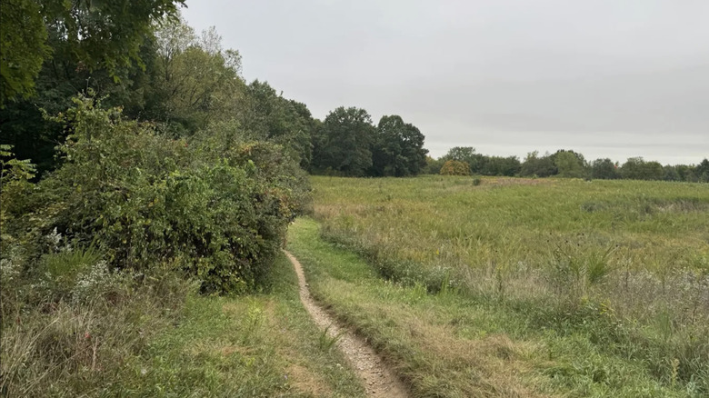 a trail running through meadows at Pontiac Lake State Recreation Area in Michigan