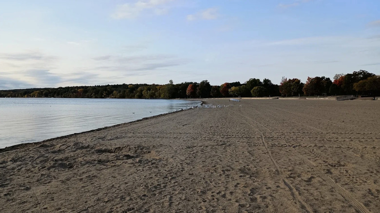 sandy shores of Pontiac Lake beach at Pontiac Lake Recreation Area in Michigan