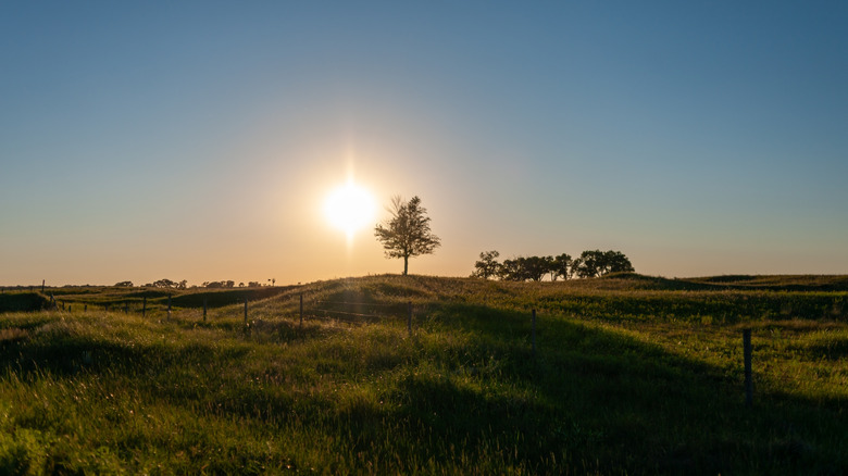 The sun setting behind a tree on a small hill at North Dakota's Sheyenne National Grasslands