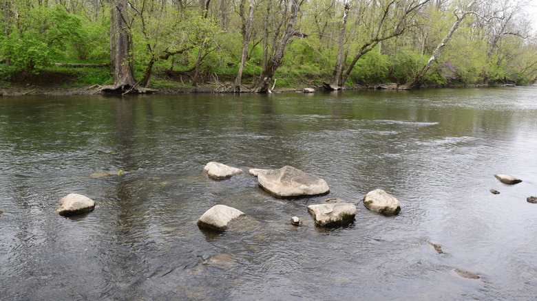 Views of the White River inside Mound State Park near Daleville, Indiana, surrounded by woodlands.