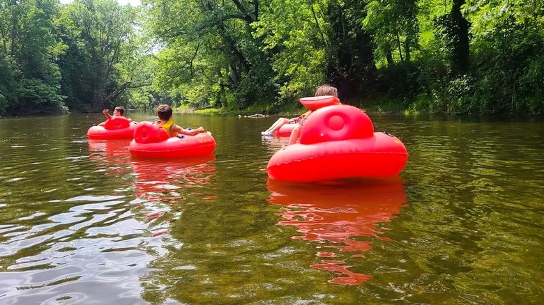 A few people tubing along the scenic White River, surrounded by a canopy of trees, in Daleville, Indiana.