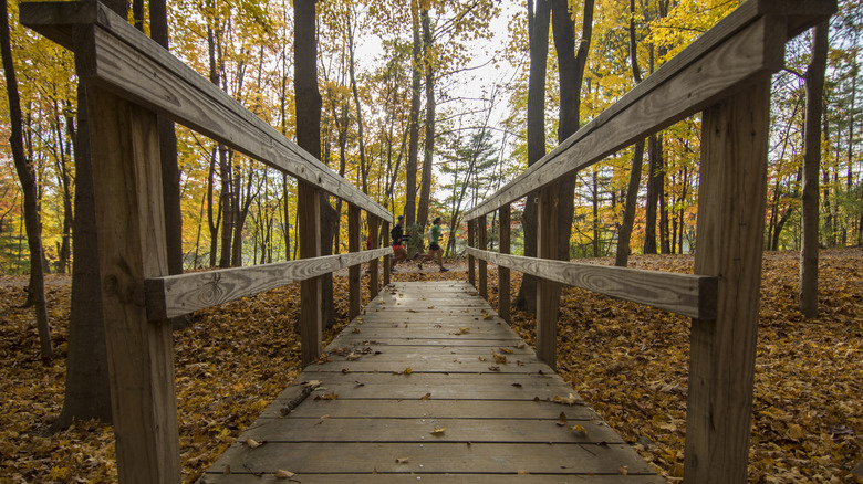 A wooden bridge surrounded by foliage at Ramapo Valley County Reservation in Mahwah, New Jersey