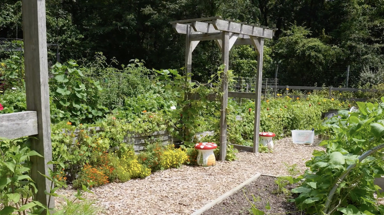 Blooming garden with pergola at Tyler Arboretum.