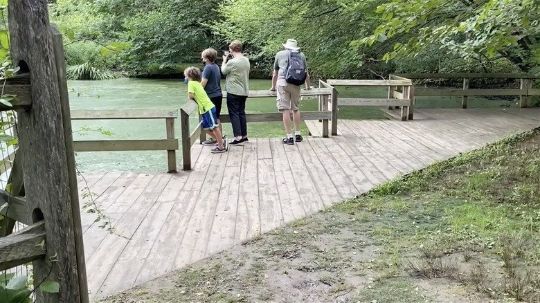 Family enjoying boardwalk near a pond at Tyler Arboretum.