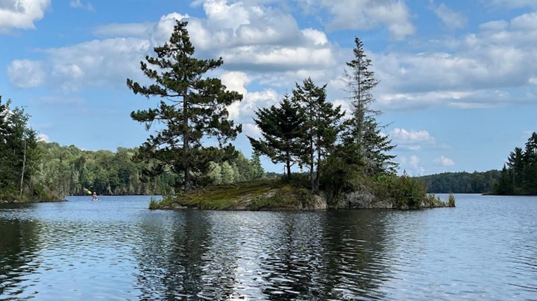 A scenic view of an island with trees and shrubbery in Green River Reservoir State Park, Vermont