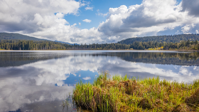 Rolley Lake surrounded by forest inside Rolley Lake Provincial Park in Mission, British Columbia