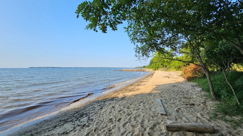 A sandy beach with calm waves and shady trees at Beverly Triton Nature Park.