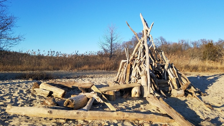 A driftwood sculpture at Beverly Triton Nature Park's swimming beach.