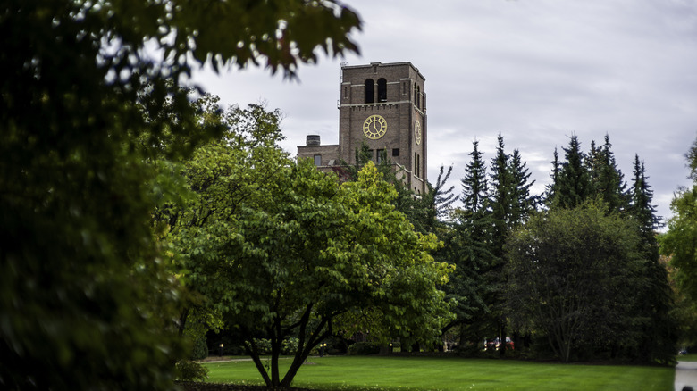 A green park in Kohler with a clock tower rising behind the trees