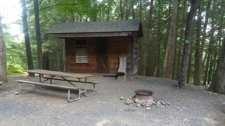 Cabin and an outdoor table at the Cranberry Run Campground, with the forest in the background
