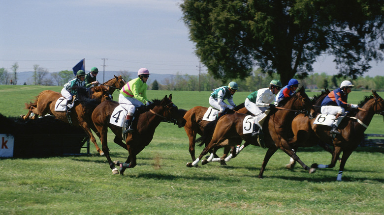 Steeplechase race in Middleburg