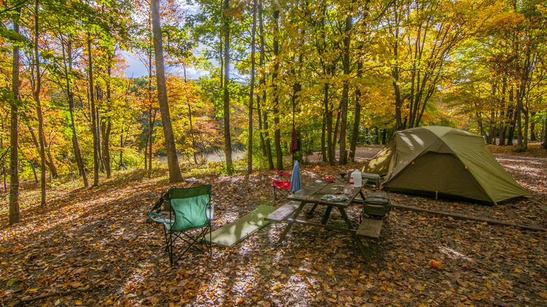 A campsite in the fall with a tent, picnic bench, and a couple of chairs pointing towards a river and the trees
