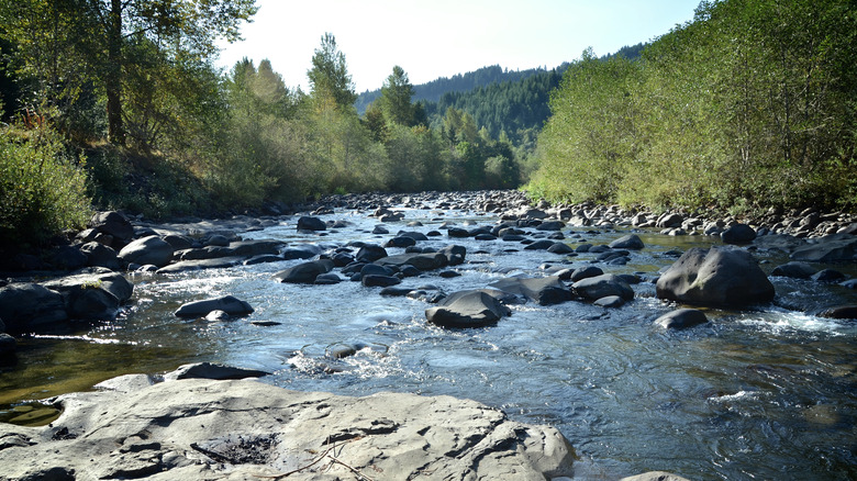 The flowing waters of the Molalla River in Oregon
