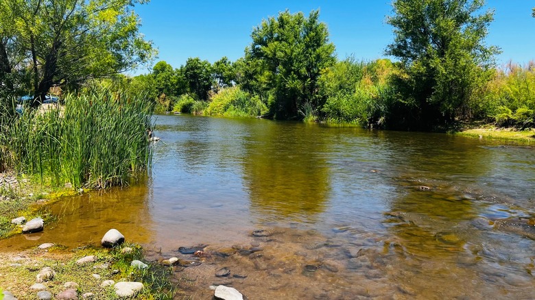The Verde River at the Needle Rock Day Use Area, Tonto National Forest.