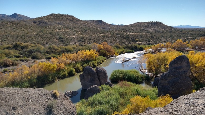 View of the Verde River at the Needle Rock Day Use Area in Tonto National Forest, Arizona.