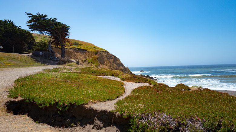 Mori Point at Golden Gate National Recreation Area
