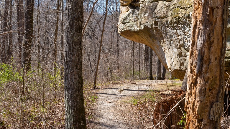 Sandstone shelf over Giant City State Park trail