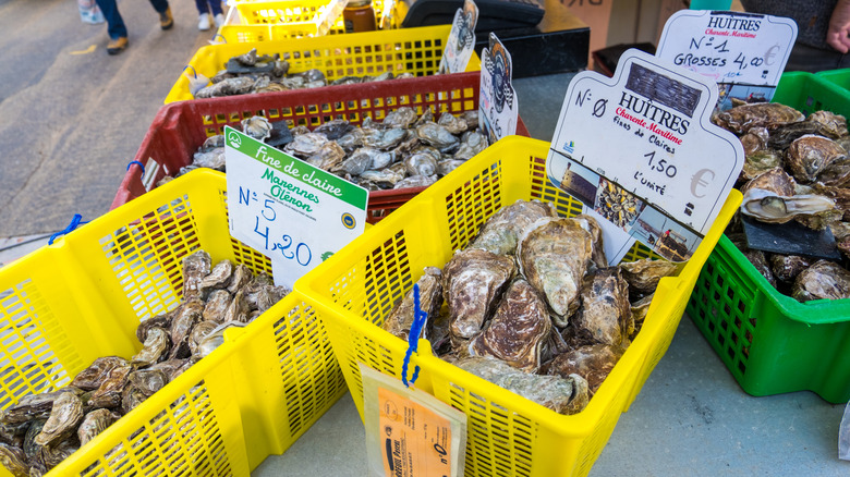 Crates of fresh oysters in shell for sale at market