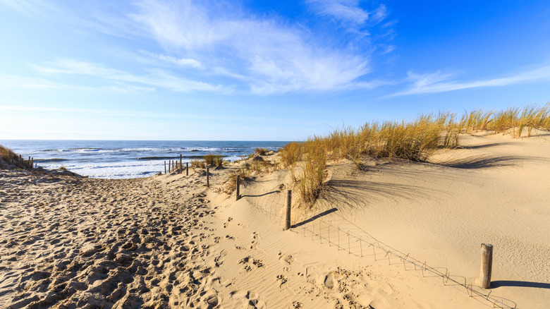 Sandy beach dunes by the ocean with no people