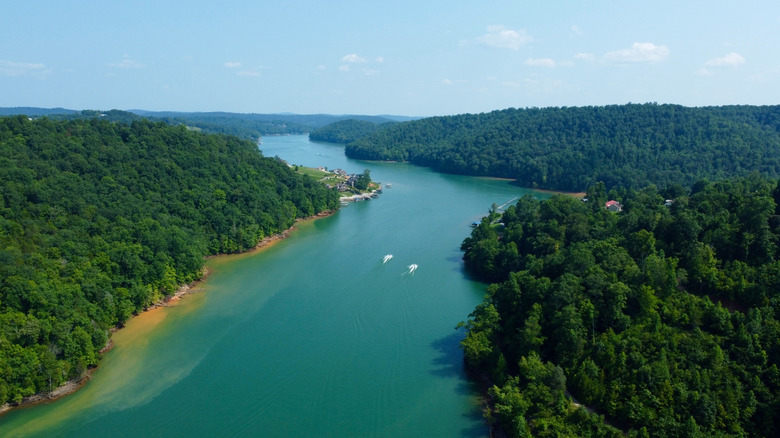 Aerial view of Norris Lake in Tennessee in the summer