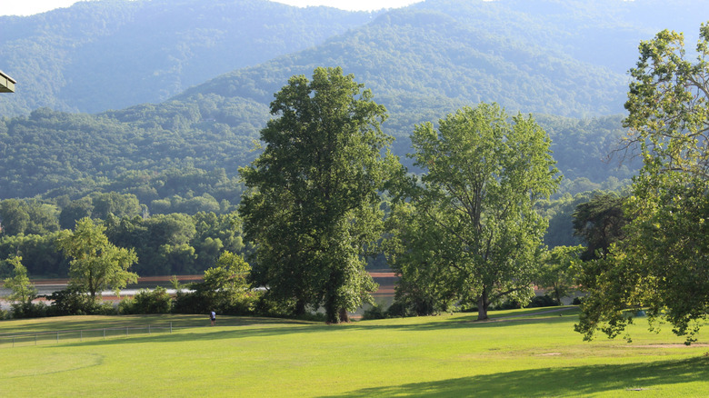 Cove Lake State Park in Jacksboro on summer day, surrounded by mountains.