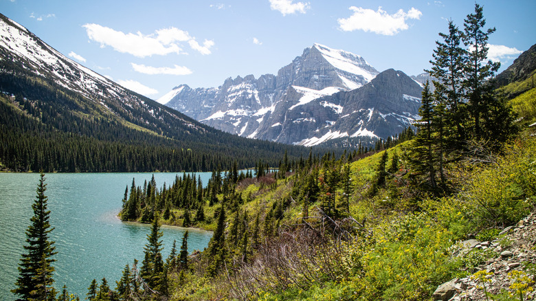 The snow-capped peaks of the Glacier National Park surrounded by forests and meadows