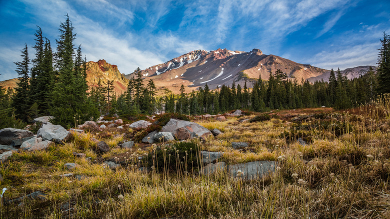 A view of Mount Shasta from Panther Meadows during sunrise in the spring