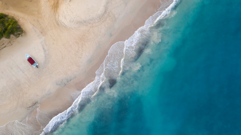 Aerial view of empty white sand beach in Cabo Pulmo