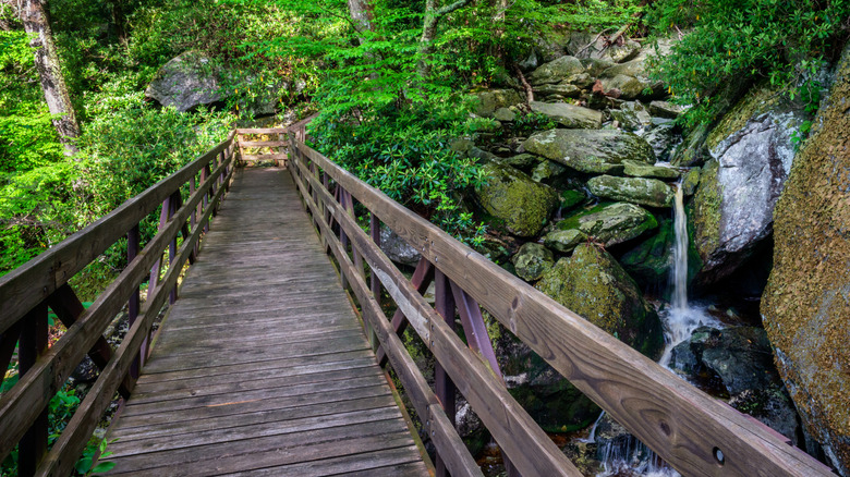 Tanawha Hiking Trail along the Blue Ridge Parkway on Grandfather Mountain, North Carolina