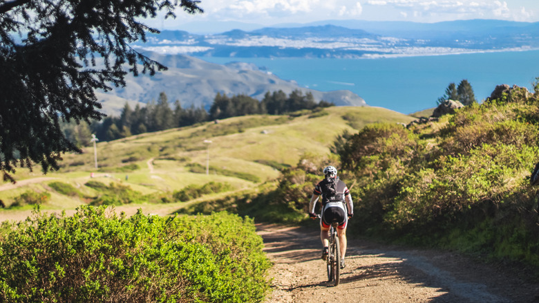 Cyclist on Bay Area Ridge Trail