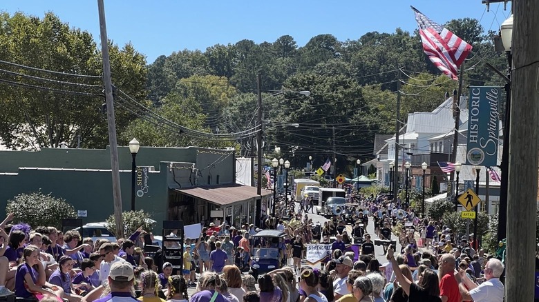 Downtown Springville, AL is teeming with people during a local festival.