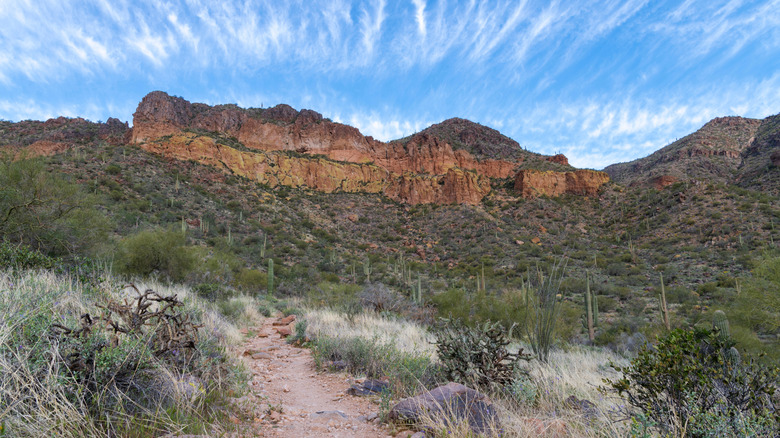 Landscape photograph at Usery Mountain Regional Park, Arizona