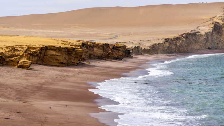 Playa rojo in Paracas, Peru