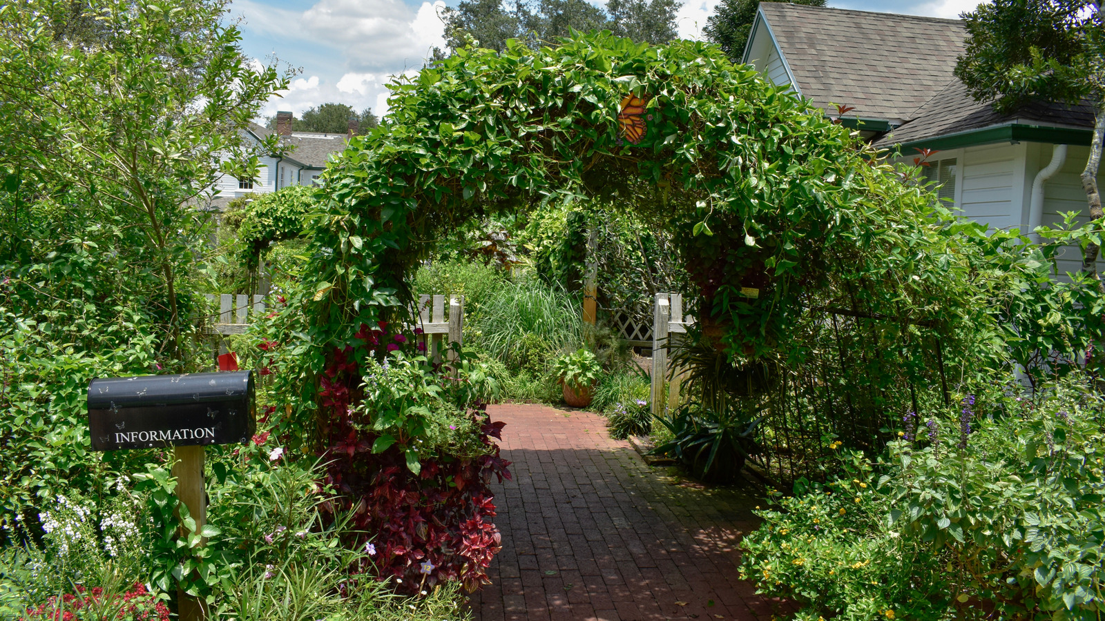 An Underrated Botanical Oasis In The Heart Of Orlando Offers A Vibrant ...