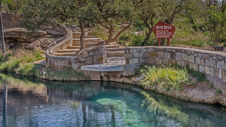 Blue Hole in Santa Rosa, New Mexico surrounded by trees.