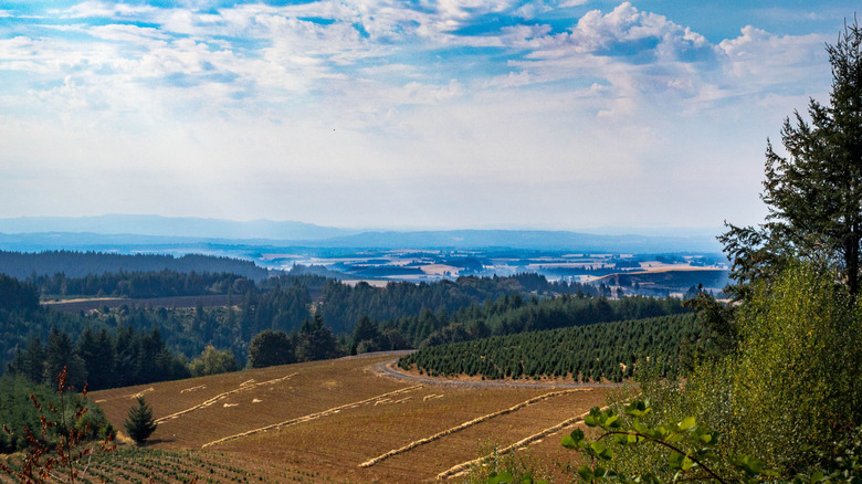 Landscape of Willamette Valley close to Sheridan