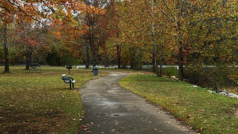 Autumn path in Paintsville Lake State Park