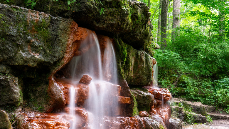 An image of colorful orange cliffs at The Yellow Spring in Ohio's Glen Helen Nature Preserve in early summer.