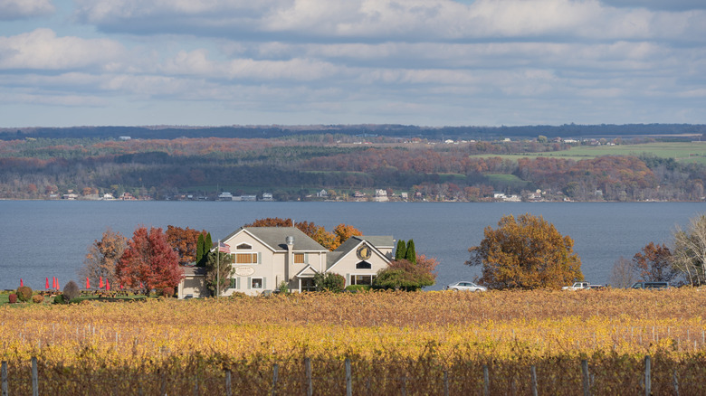 View of Thirsty Owl Wine Co. in Ovid, NY