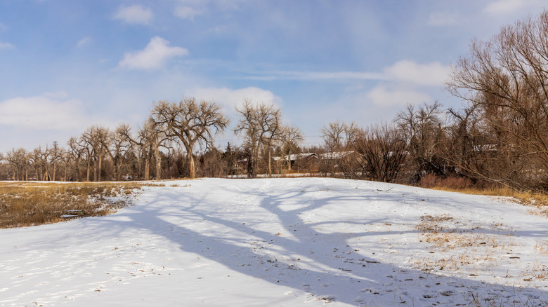 Snowy scene in James A. Bible Park, Denver.