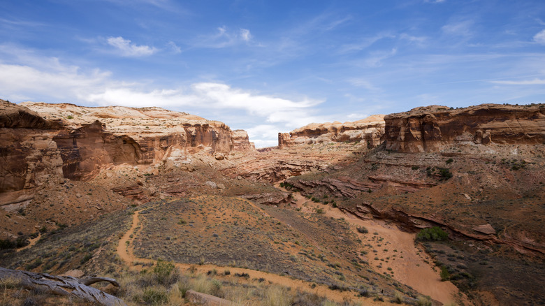 Trail for Horseshoe Canyon and the Great Gallery in Canyonlands National Park, Utah