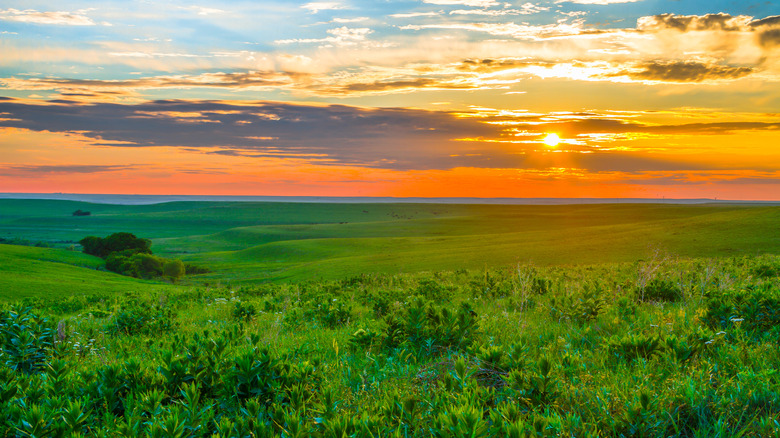 Sunset over green hills and prairie in the Flint Hills