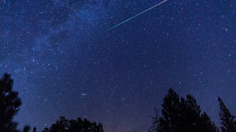 Blue starry sky with streaks of meteors above tree line in Oregon