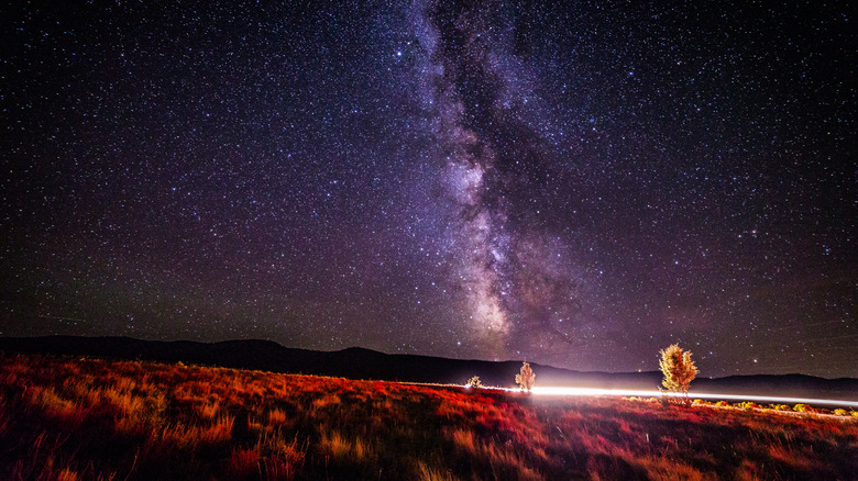 Milky Way and starry sky above mountain silhouette and red grass Barnhouse Campground Oregon