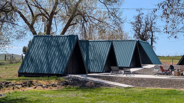 Four blue A-frame cabins with trees and chairs outside Antelope Basecamp